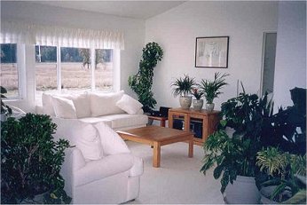 livingroom.jpg (22790 bytes)