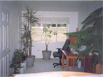office.jpg (23937 bytes)