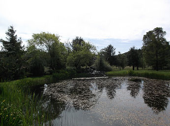 new5.jpg (34733 bytes)