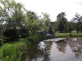 new2.jpg (28681 bytes)