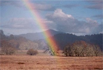 rainbow2.jpg (17434 bytes)